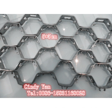 Ss304 Ss410 Hex Tortoise Shell Net Espessura 2.2mm / Ss 304 Hex Net Profissional Fábrica